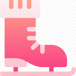 <em>溜冰鞋</em>