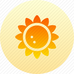 <em>向日葵</em>