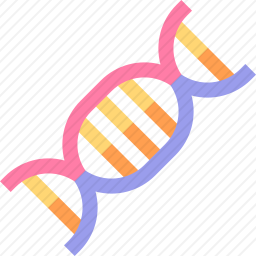 DNA