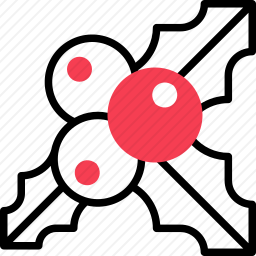 槲寄生