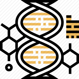 DNA结构