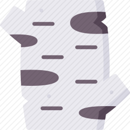 <em>白桦</em><em>树</em>