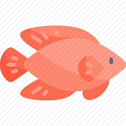 鱼