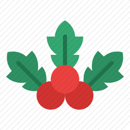 槲寄生