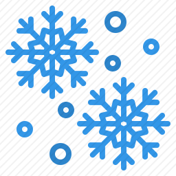 <em>雪花</em>