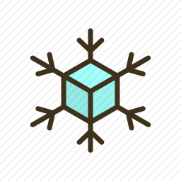 <em>雪花</em>