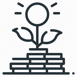 <em>投资</em>