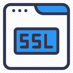 <em>SSL</em>