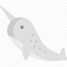 独角鲸