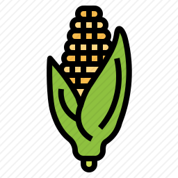 <em>玉米</em>