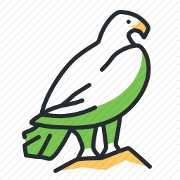 <em>鹰</em>
