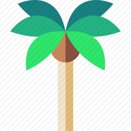 棕榈树