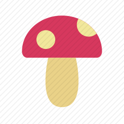 蘑菇