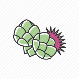 <em>朝鲜蓟</em>
