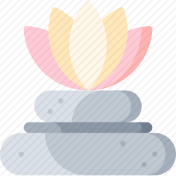 莲花