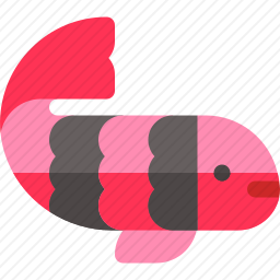 鲤鱼
