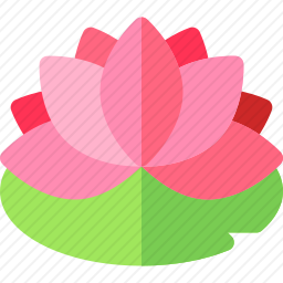 莲花