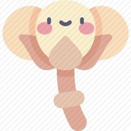 棉花