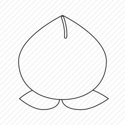 <em>桃子</em>