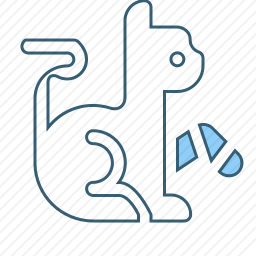 <em>猫咪</em>