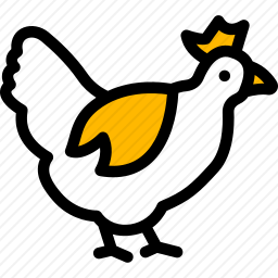 鸡