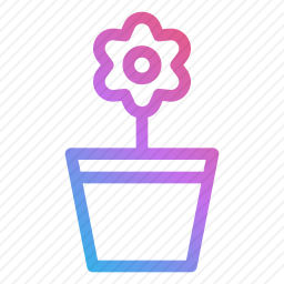 花盆