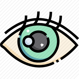 眼睛