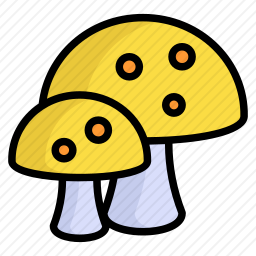 蘑菇