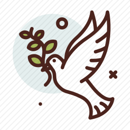 <em>鸽子</em>