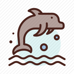 海豚