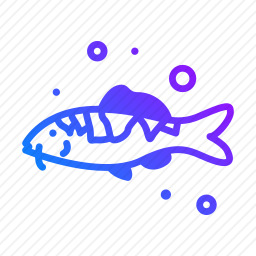 鱼