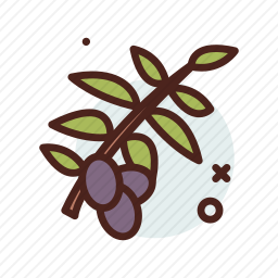 橄榄