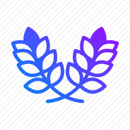 枝条