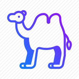 骆驼