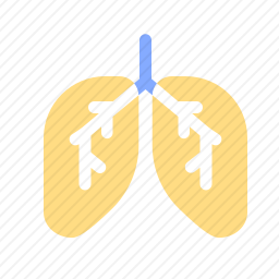 <em>肺</em>