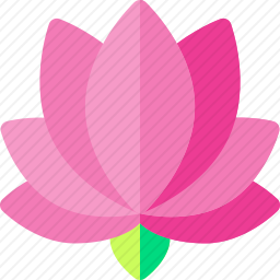 莲花