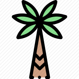 棕榈树