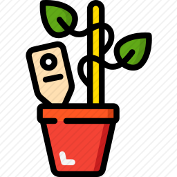 植物