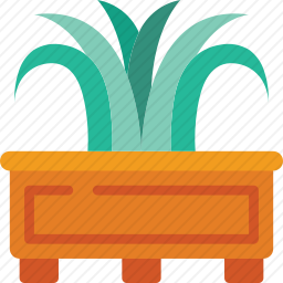 <em>植物</em>