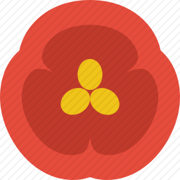 辣椒