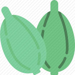 豆蔻