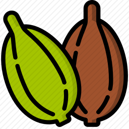 豆蔻