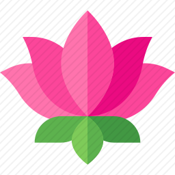 莲花