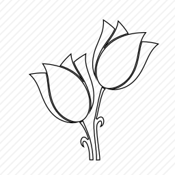 <em>花</em>
