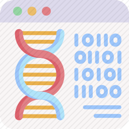 DNA信息