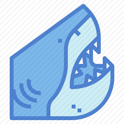 <em>鲨鱼</em>
