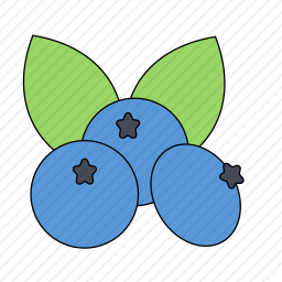  蓝莓