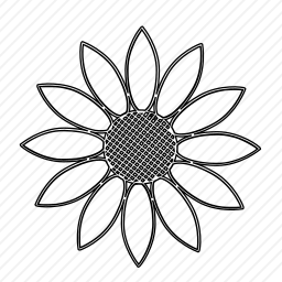 <em>向日葵</em>