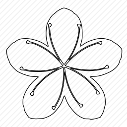  杜鹃花