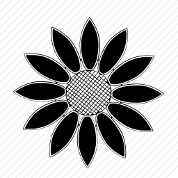 <em>向日葵</em>